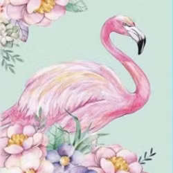 Flamingo 20x30