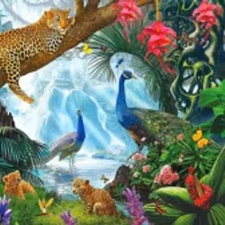 Djungel 40x50#