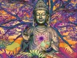 Buddha 40x50 #