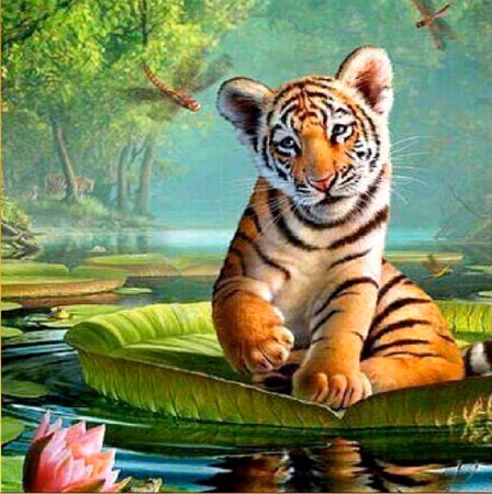 Tigerunge 40x50 #