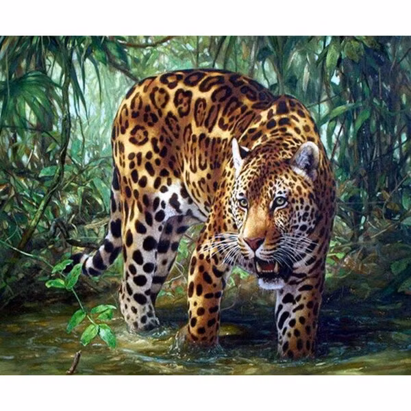 Leopard i buskage 30x40