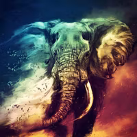 Colour Elefant  40x50cm