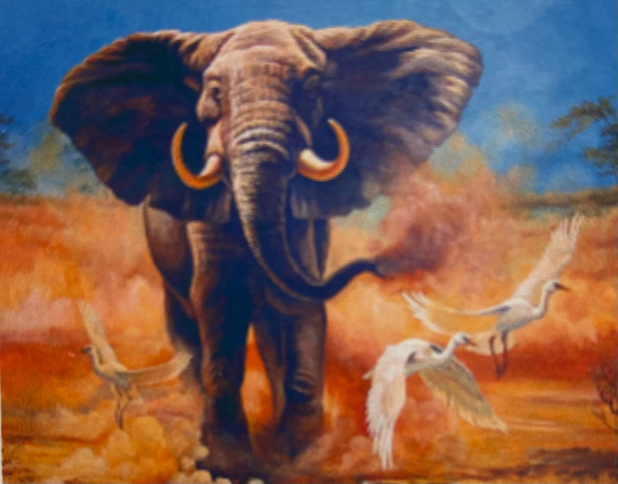 Elefant savann 25x34cm