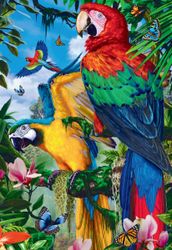 Papegojor 🦜 40x50 #