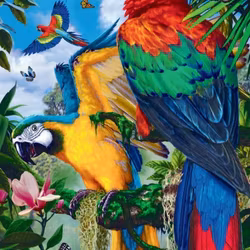 Papegojor 🦜 40x50 #