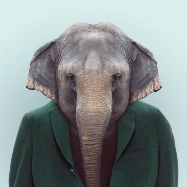 Porträtt Elefant 30x40cm