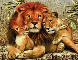 Lejon 20x30