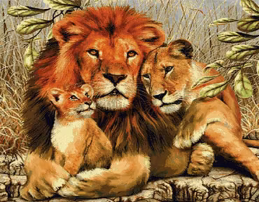 Lejon 20x30
