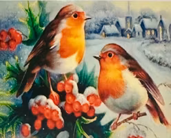 Fåglar 20x30