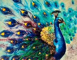 Påfågel 30x40