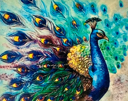 Påfågel 30x40