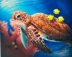 Sköldpadda 30x40