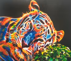 Tiger 40x50