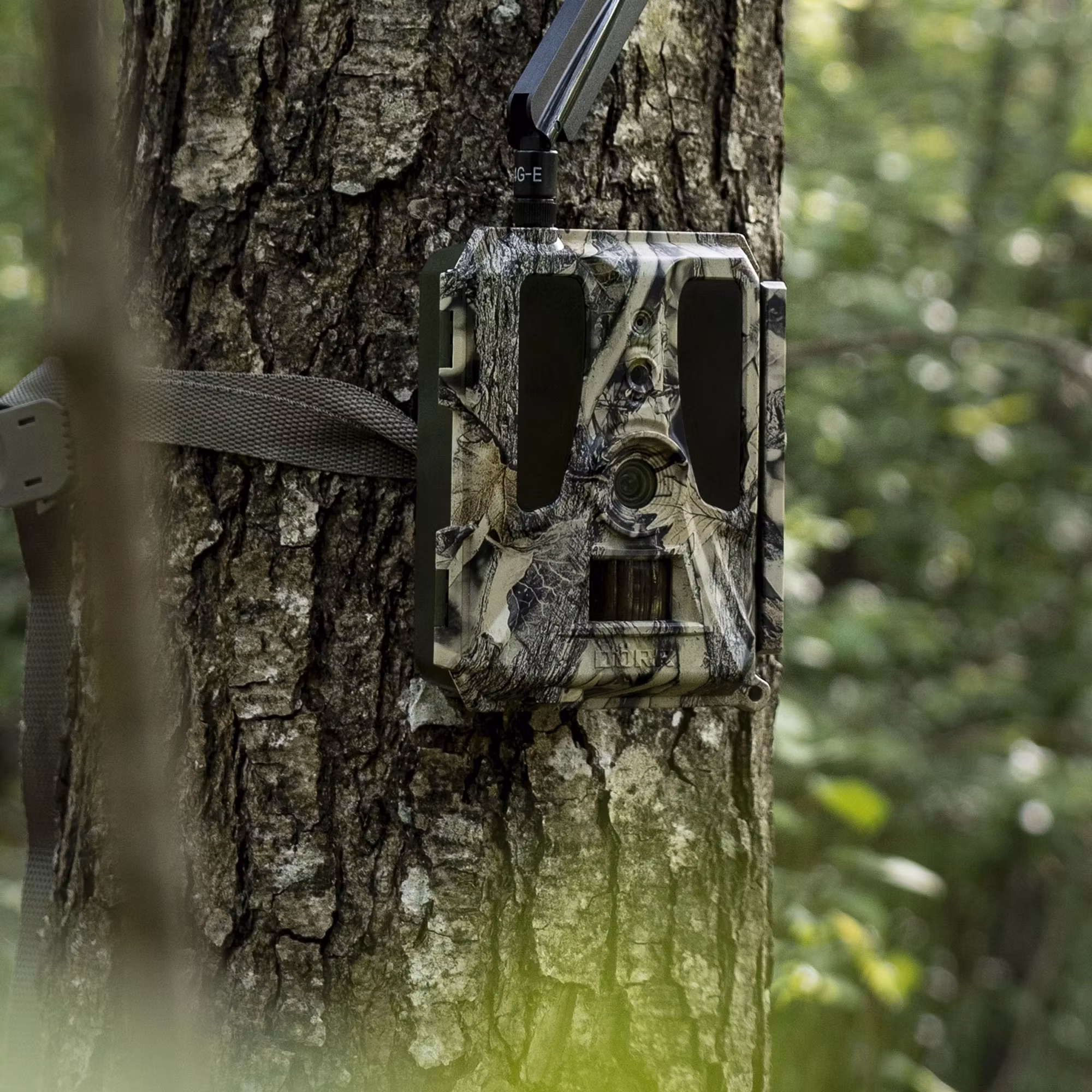 Åtelkamera SNAPSHOT CLOUD PRO 4G