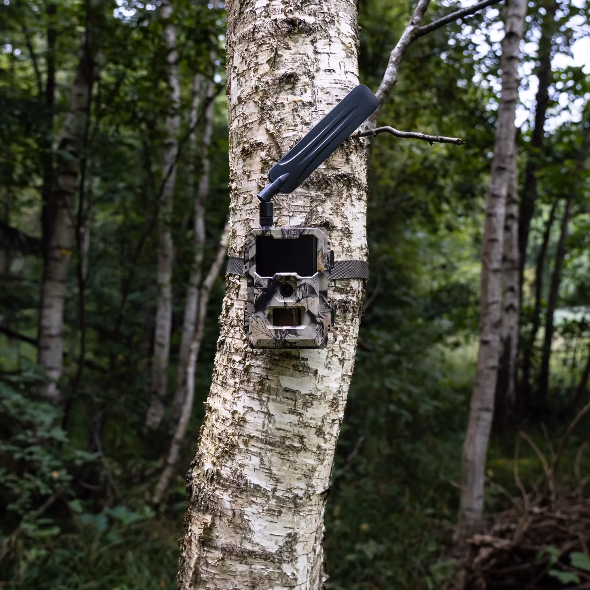 DÖRR SnapShot Cloud Mini 4G/LTE