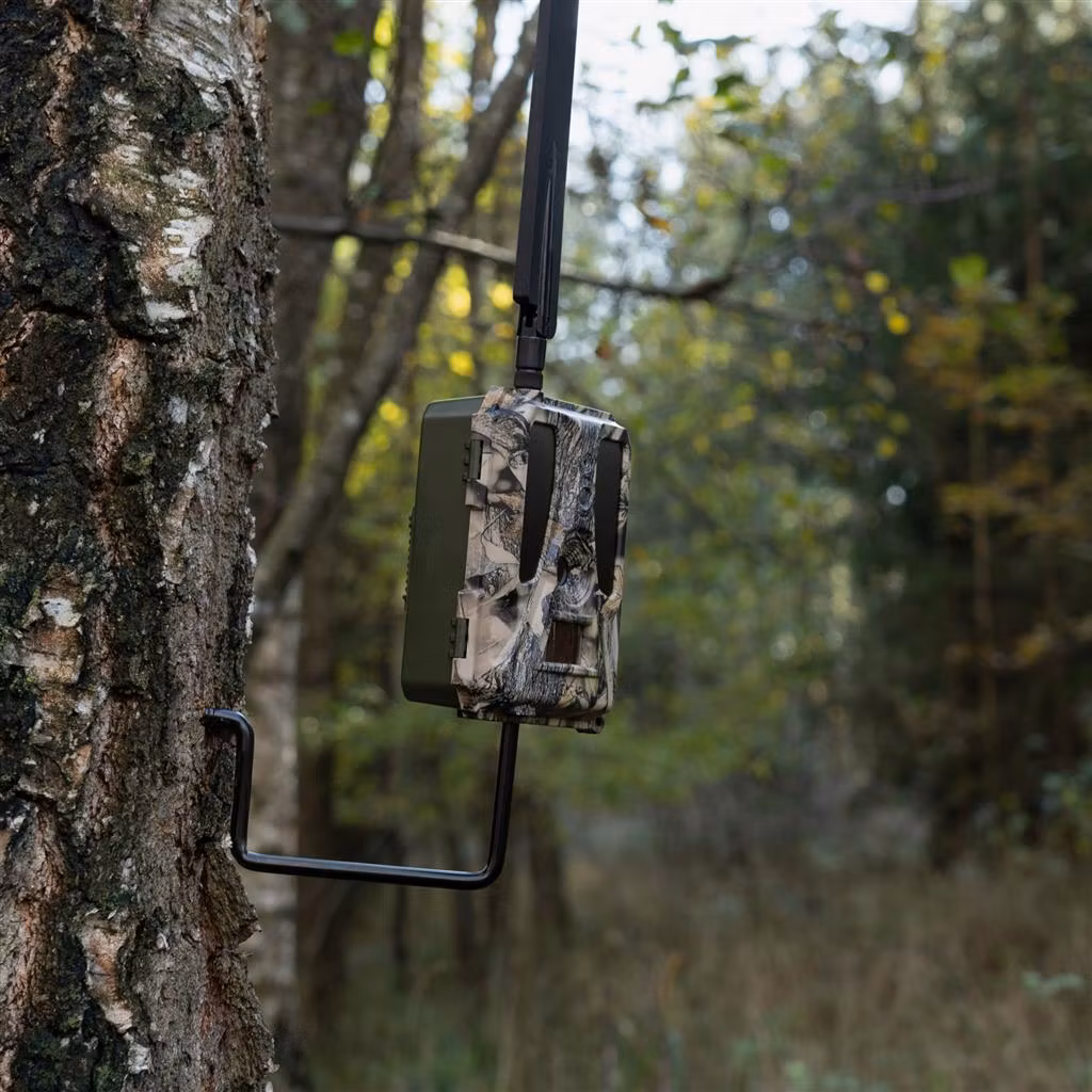 DÖRR Träskruv – Enkel montering av vilt- och övervakningskamera