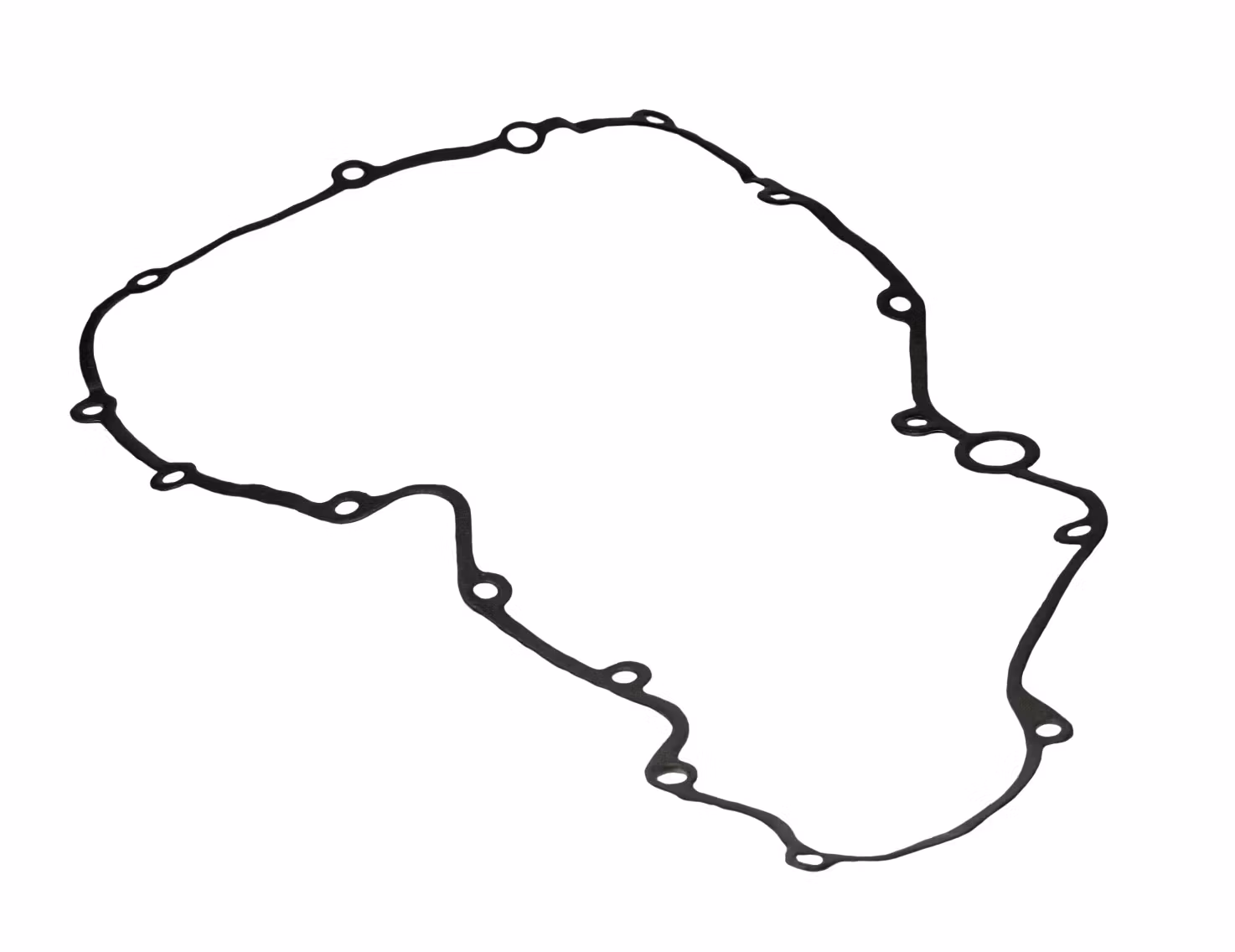 Gasket -857451