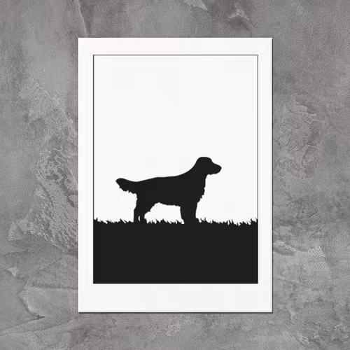 Field Spaniel poster 30x40 cm