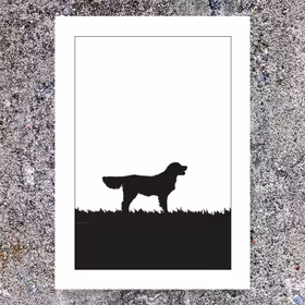 Golden Retriever poster 30x40 cm