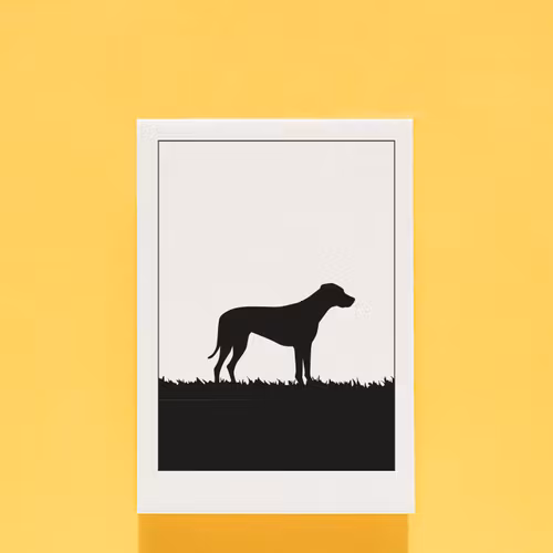 Rhodesian Ridgeback 30x40 cm