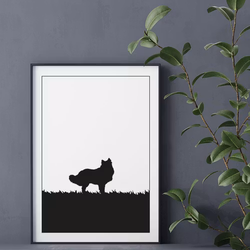 Rough Collie 30x40 cm