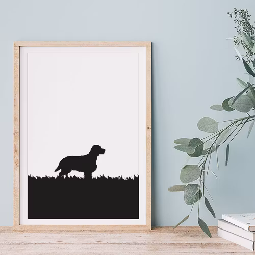 Springer Spaniel 30x40 cm