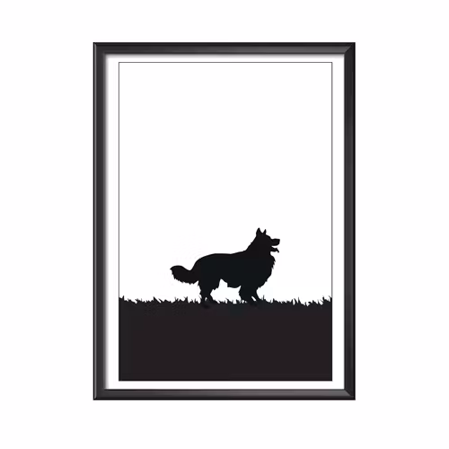 Border Collie poster 30x40 cm