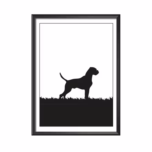 Boxer poster 30x40 cm
