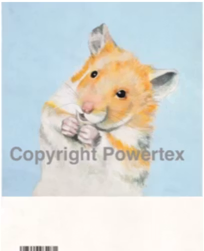 Hamster A4, laserprint