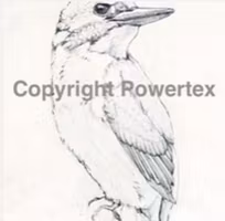 The bird A4, laserprint