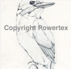 The bird A4, laserprint