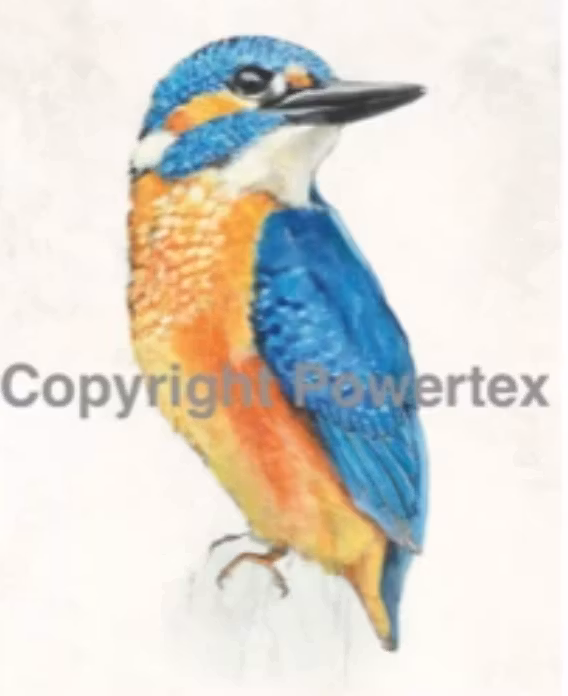 Fågel, A4, laserprint