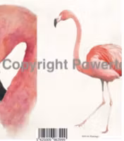 Flamingo, A4, laserprint