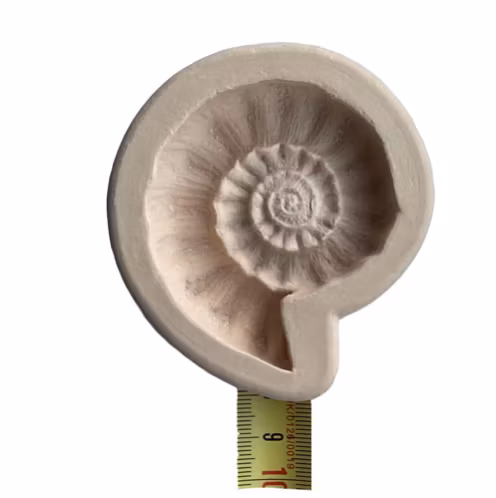 Stor fossil