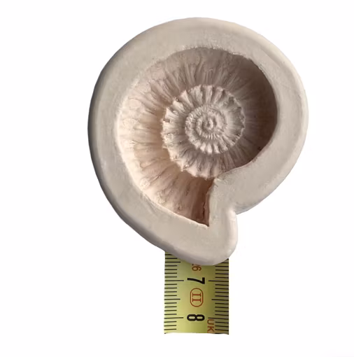 Mellan fossil