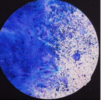 Brusho Ultramarine 15g