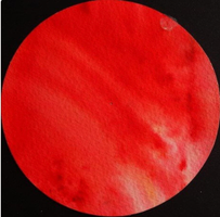 Brusho Orange 15g