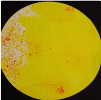 Brusho Lemon 15g