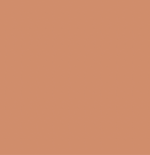 1440 Toffee Akrylspray Montana