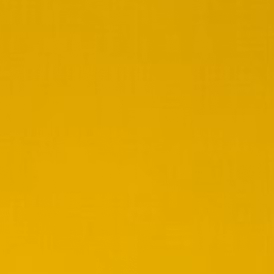 Azo Yellow Medium Winsor&Newton prof. 019