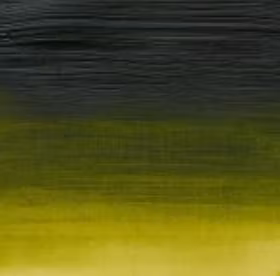 Winsor & Newton prof. 60ml - Permanent Sap Green 503