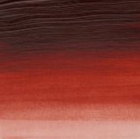 Winsor & Newton prof. 60ml - Quinacridone Burnt Orange 549