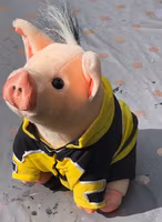 Powertex Original Babe Disney Pig