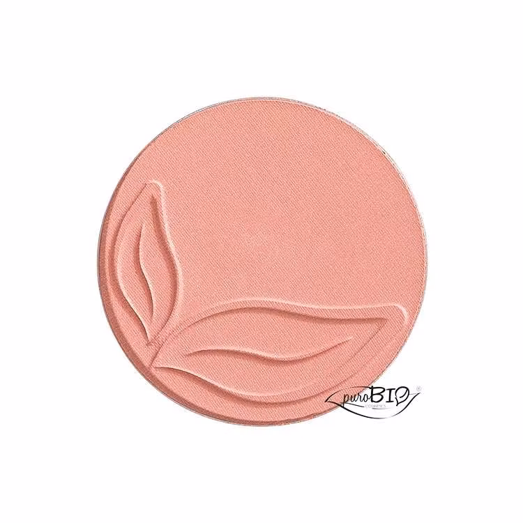 Blush 01 Pink Shimmer