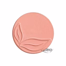 Blush 01 Pink Shimmer
