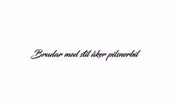 Dekal - Brudar med stil...