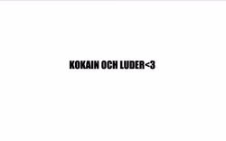 Dekal - Kokain & Luder