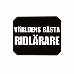 Isskrapa - Världens bästa Ridlärare
