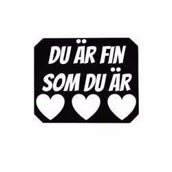 Isskrapa - Du är fin som du är