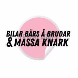 Dekal - Bilar bärs och brudar